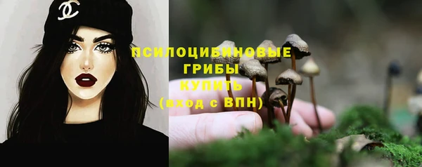 мяу мяу мука Алзамай