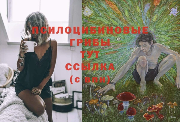 ПСИЛОЦИБИНОВЫЕ ГРИБЫ Сатка