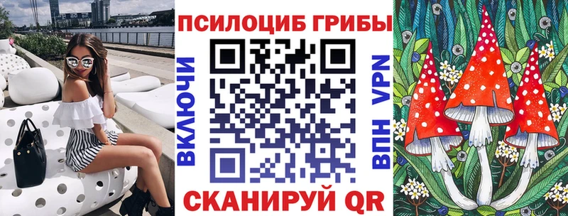 где купить   Болхов  Псилоцибиновые грибы Cubensis 
